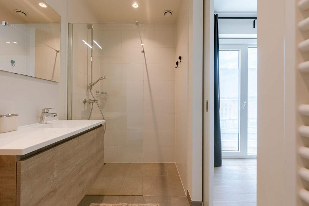 Casiola - Spacious apartment in Ghent with big terrace photo 3