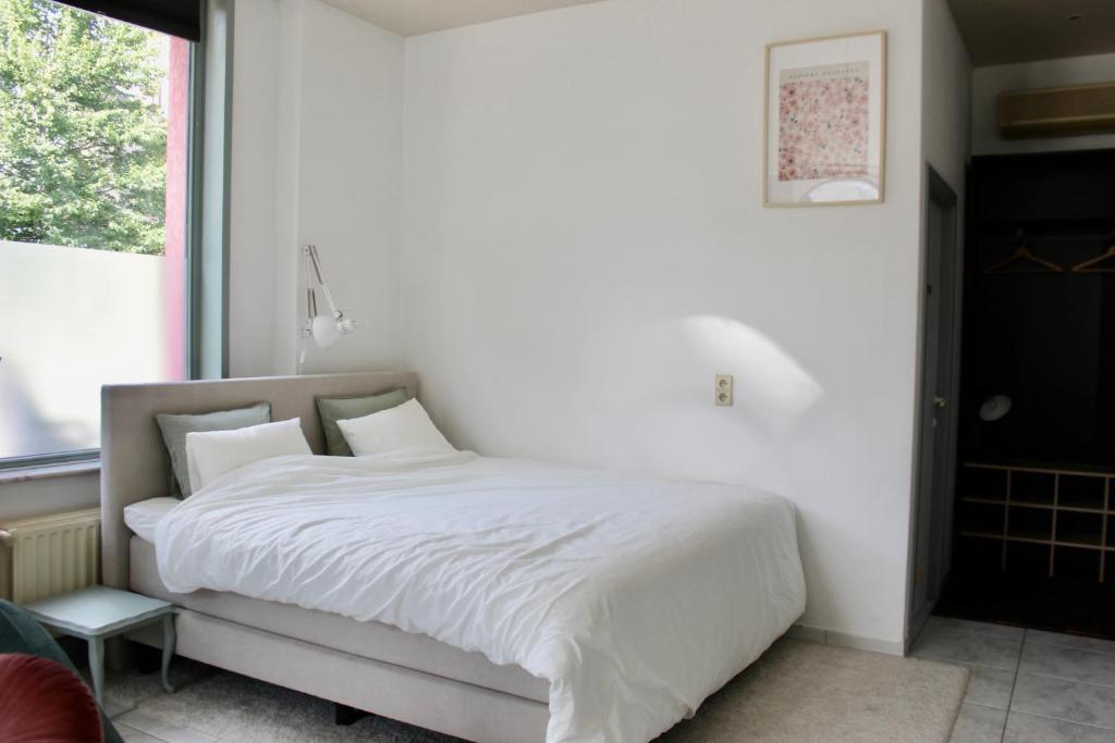 Cozy private suite photo 2