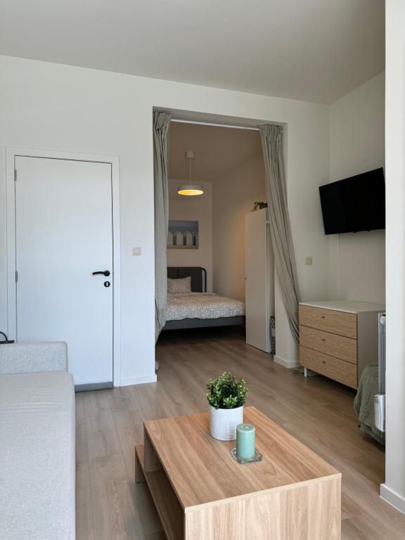 Superbe appartement une chambre photo 3