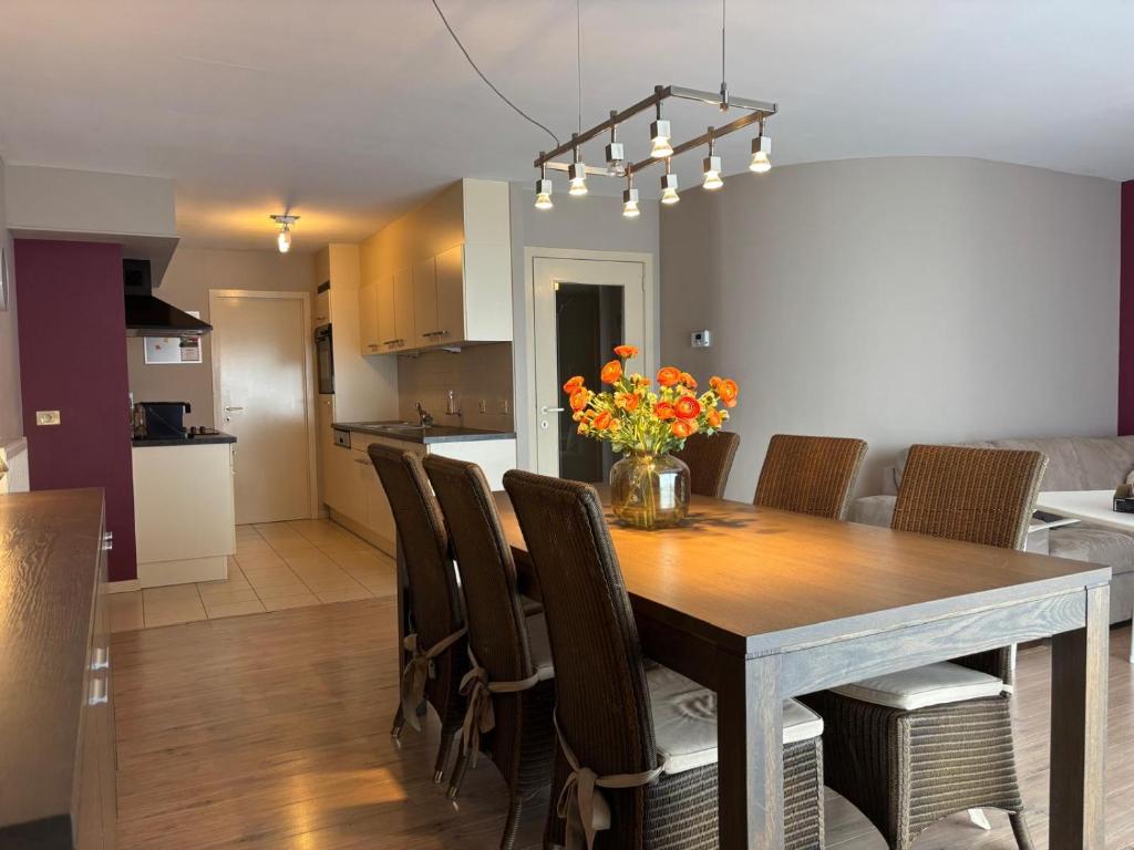 Ruim duplex appartement- 8p - wandelafstand strand — photo 1