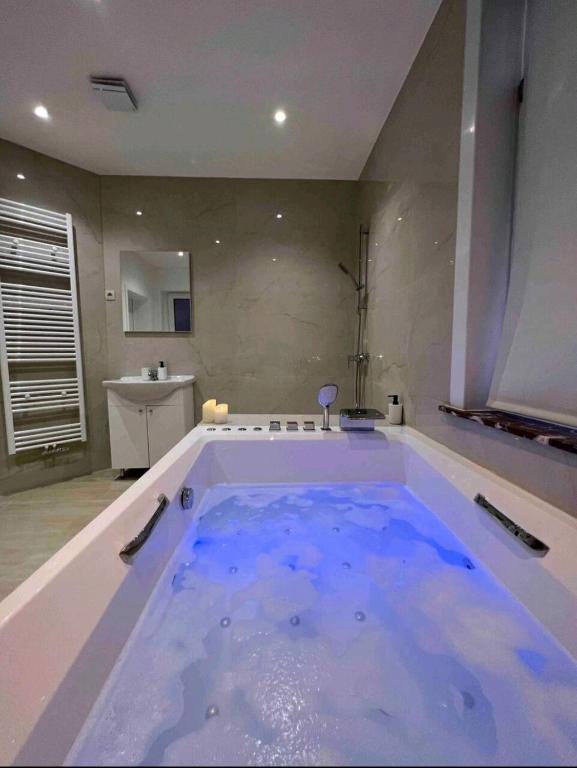 Sublime appartement Calme Cosy & Jacuzzi photo 3
