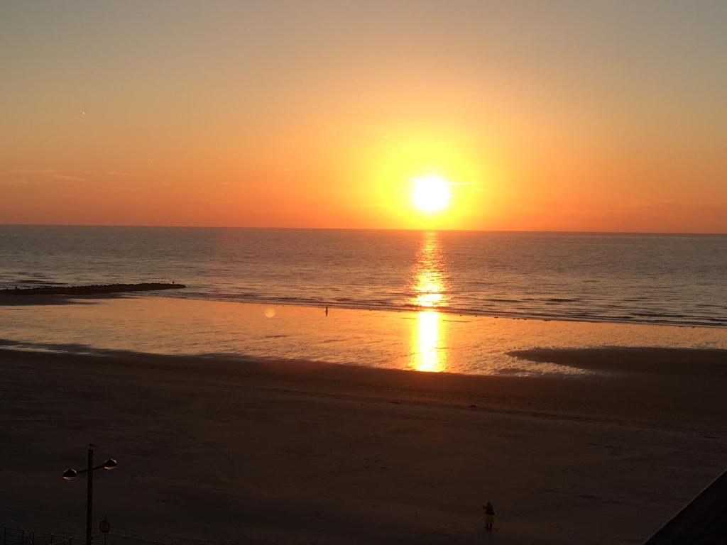 Sunshine — photo 1