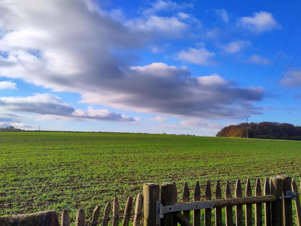 Chez Anatole — photo 1