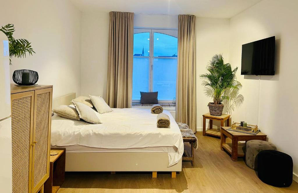 Suite kaai 24 — photo 1