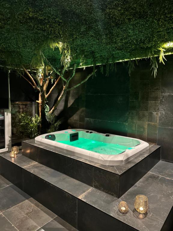 Suite Marie - Jacuzzi privé & sauna — photo 1