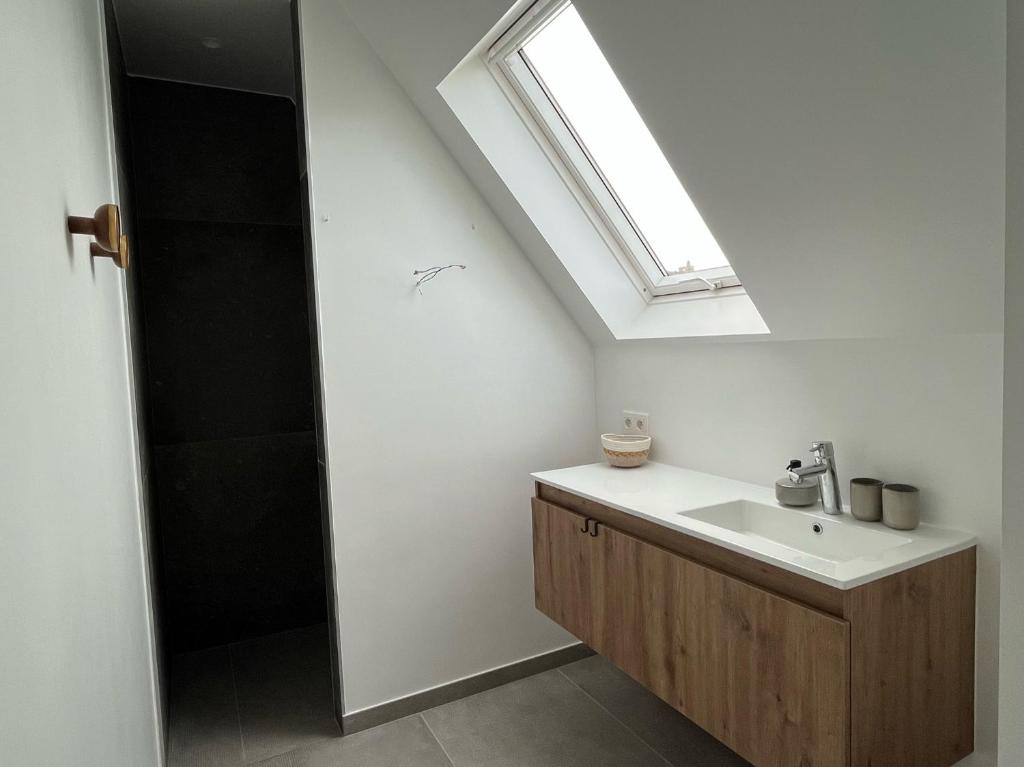 Zotte Garnaal photo 3