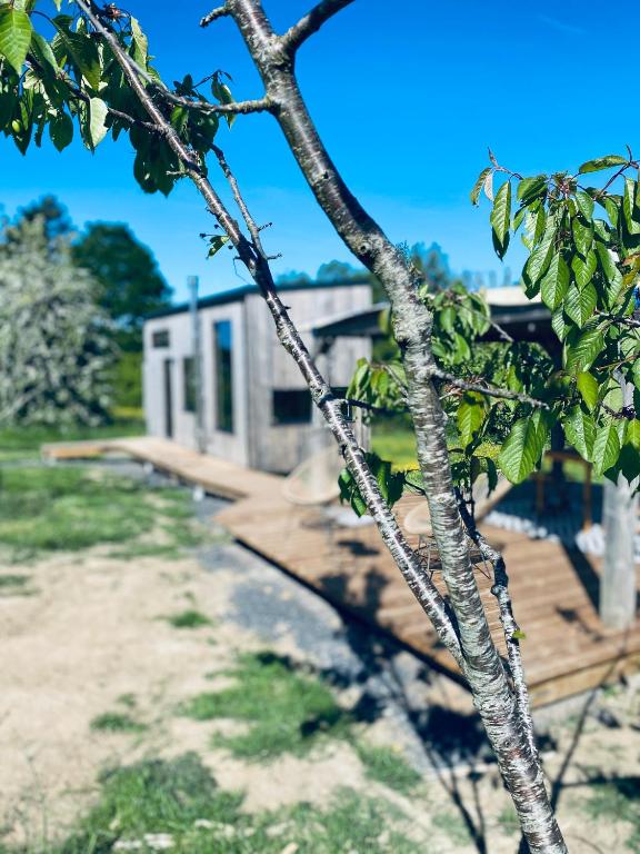 Tinyhouse au coeur d'un vignoble photo 2