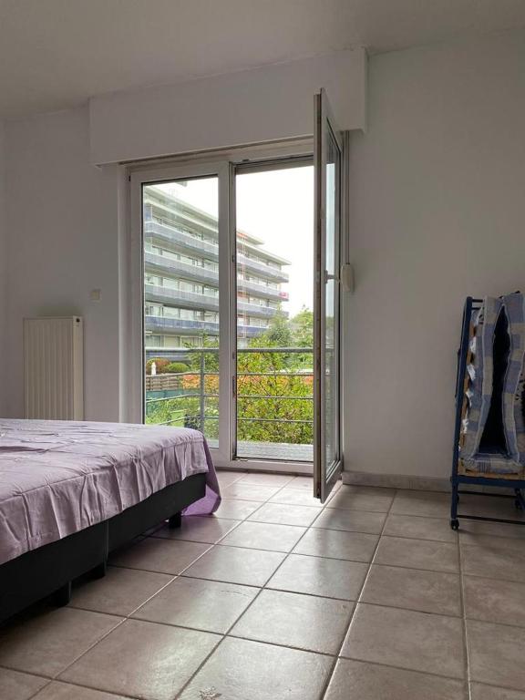 Superbe appartement lumineux et spacieux photo 2