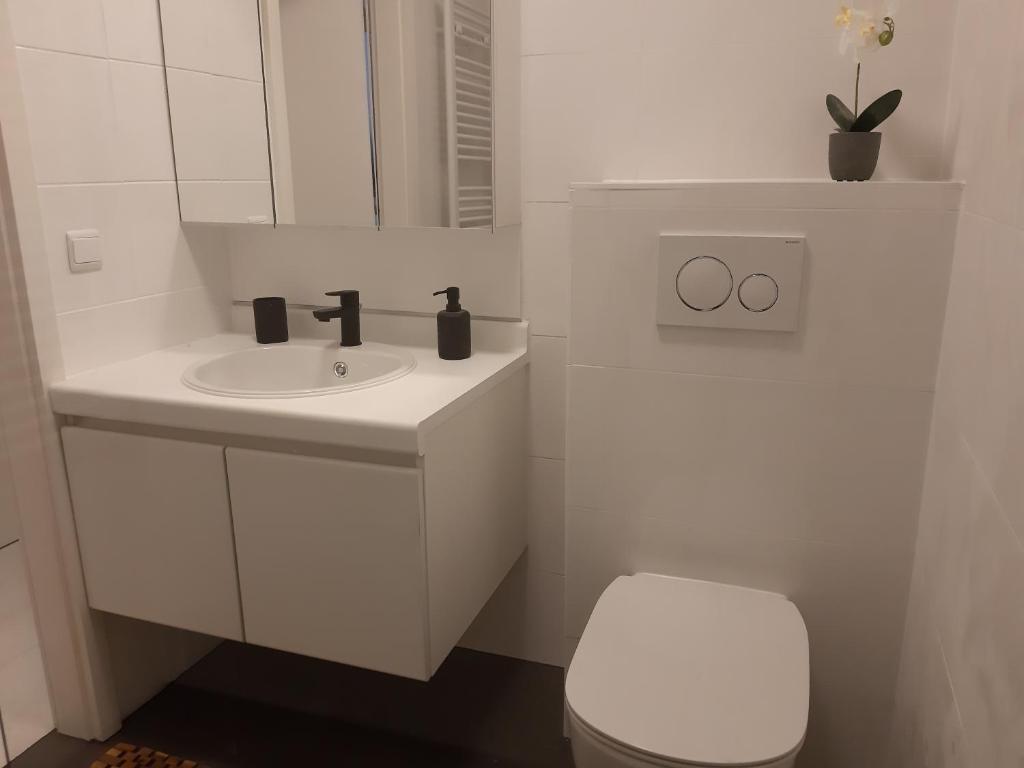 Sfeervol en lichtrijk appartement centrum Knokke photo 3