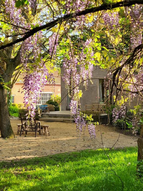 The Secret Garden photo 2