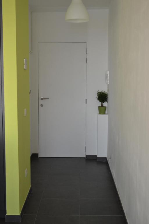 Studio 24 Oostende photo 2