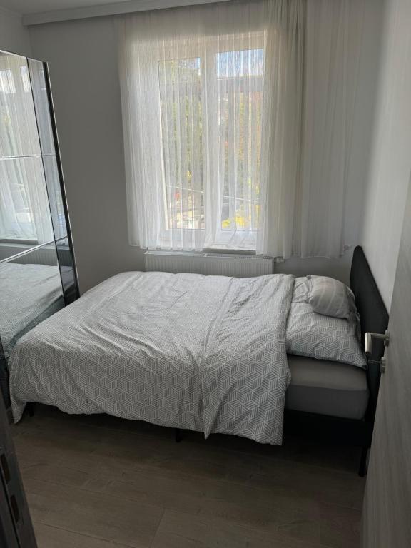 Simpleroom photo 2