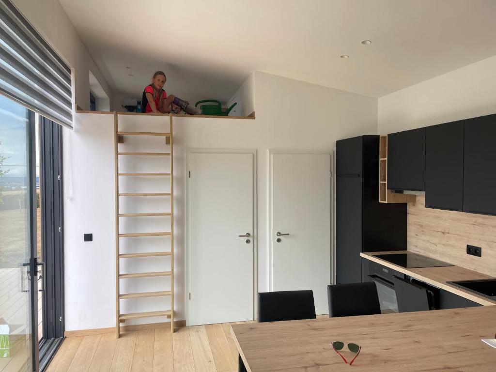 Tiny house moderne photo 3
