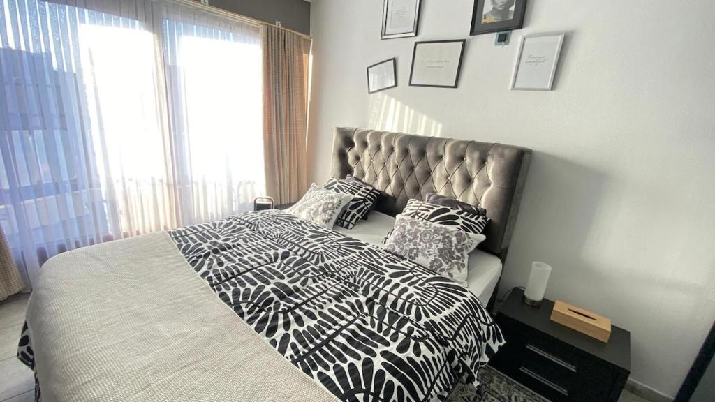 Strelitzyahouse photo 2