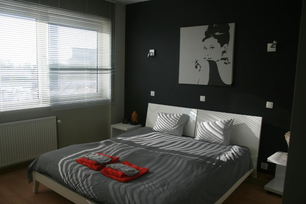 Scheldepunt photo 2