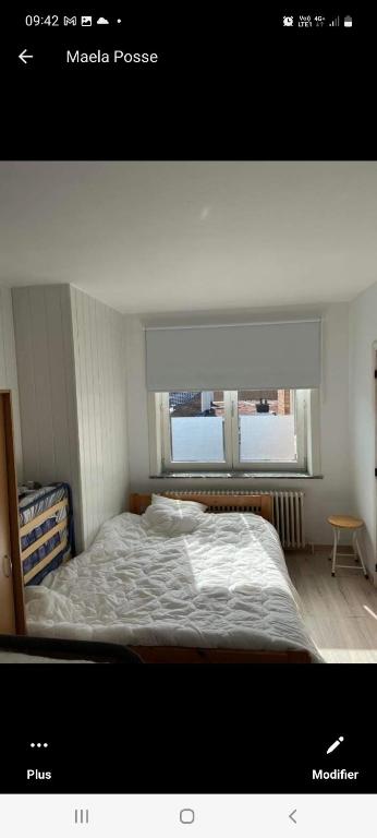 zon vakantie blankenberge photo 2