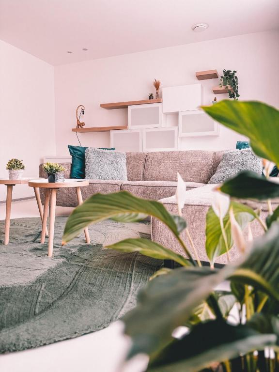 Luxe d’O — photo 1