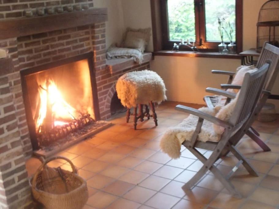 Woning 'Chez Marley' in Maasmechelen — photo 1