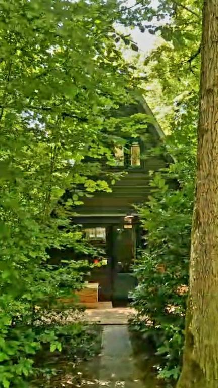 A Wood Lodge - zwembad - relax - natuur photo 3