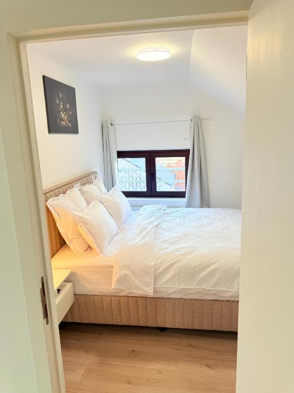 Suite 06 photo 2