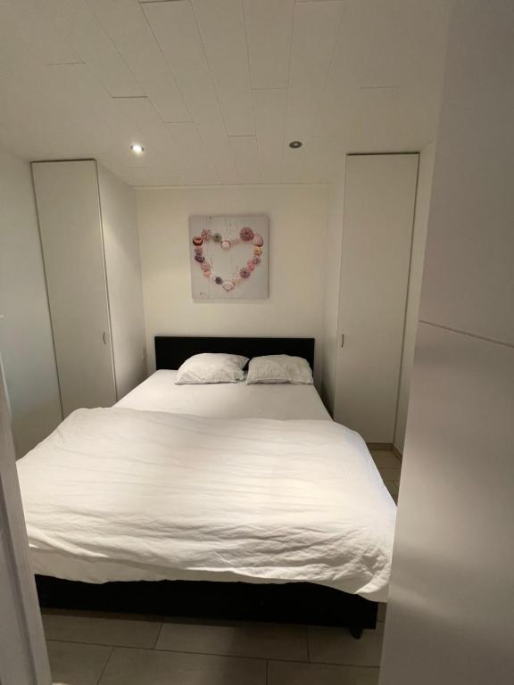 Studio zeezicht Nieuwpoort photo 2