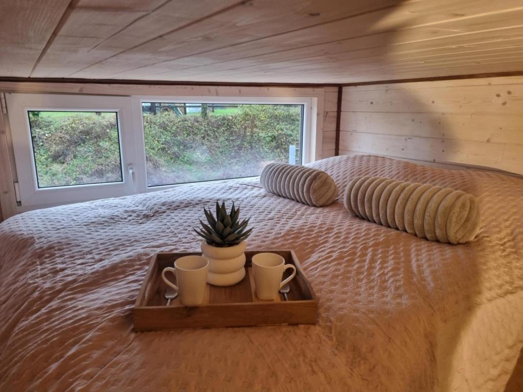 Tiny housse serenity avec jacuzzi et piscine photo 2