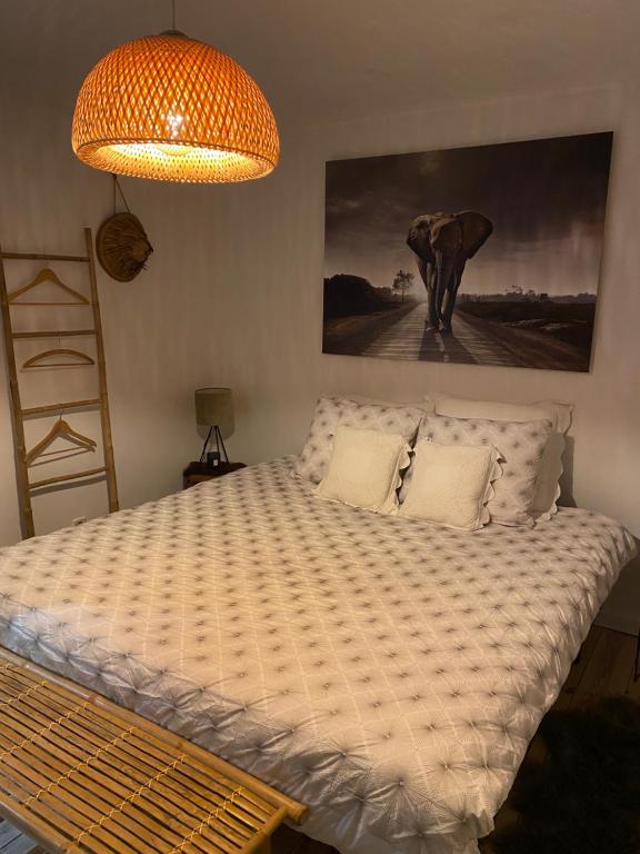 La Suite Cosy - Votre Pause Arborée — photo 1