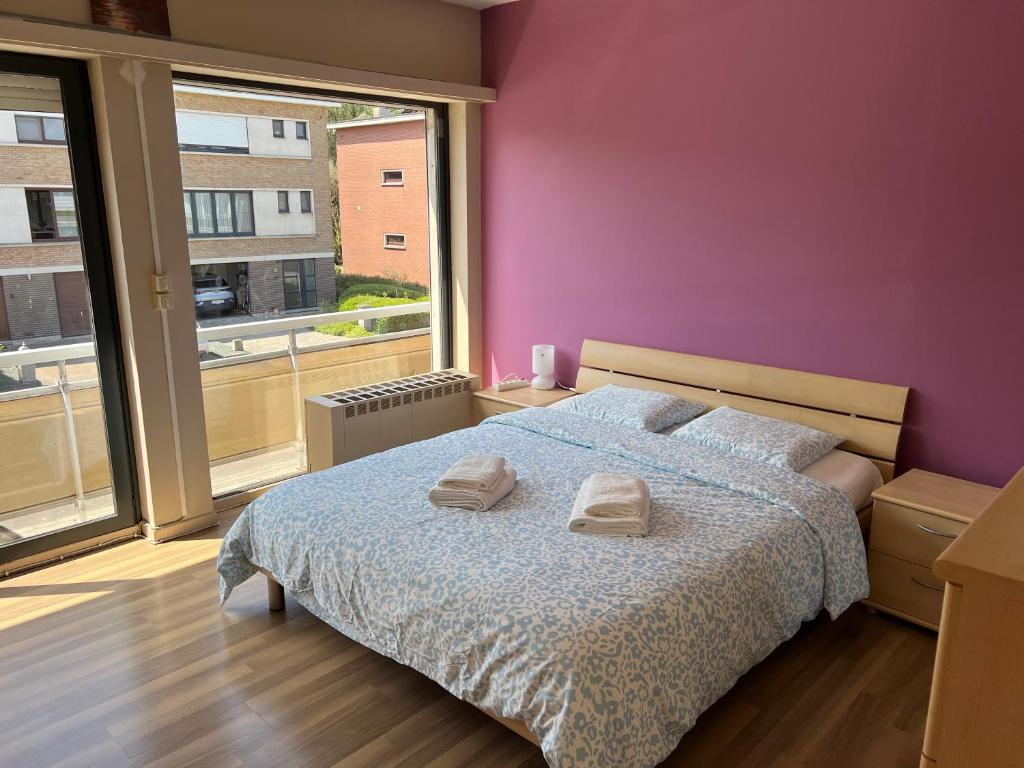 Rooms for Tomorrowland 2026 — photo 1