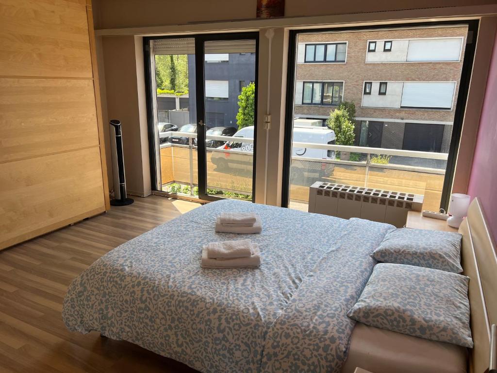 Rooms for Tomorrowland 2026 photo 2