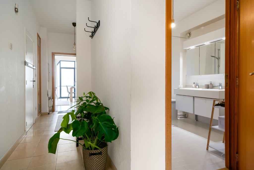 Saint Pablo Boutique Apt I 3BR photo 3