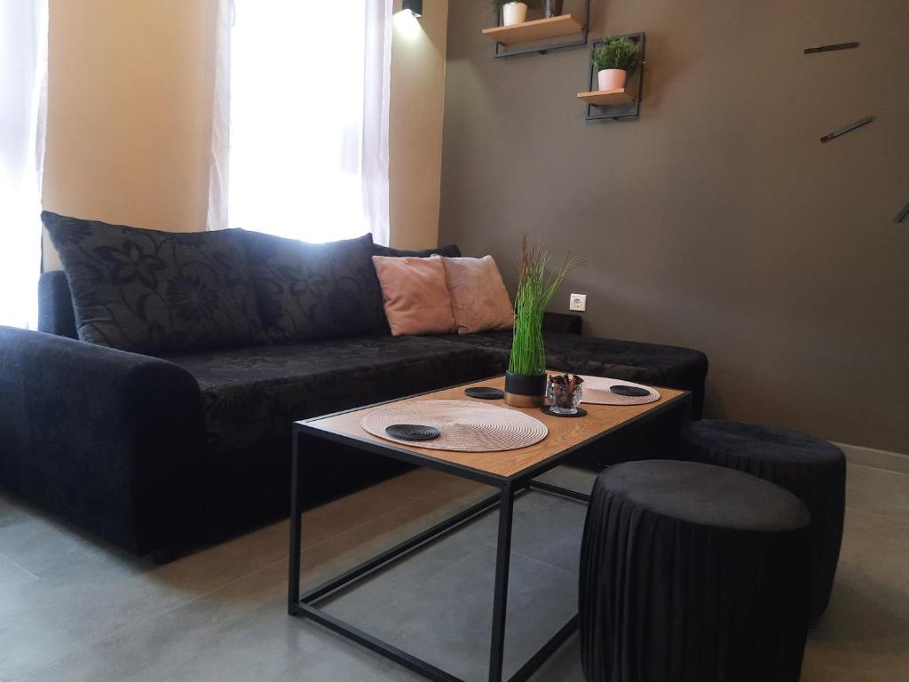 Top Studio Vinica photo 3