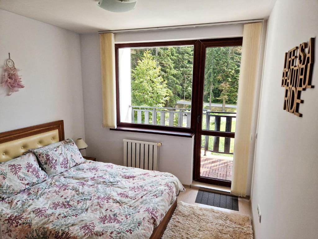 Sunny Apartment C25 photo 2
