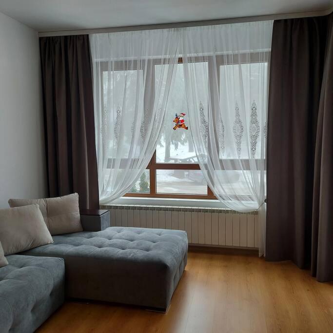 Семи гарден photo 2