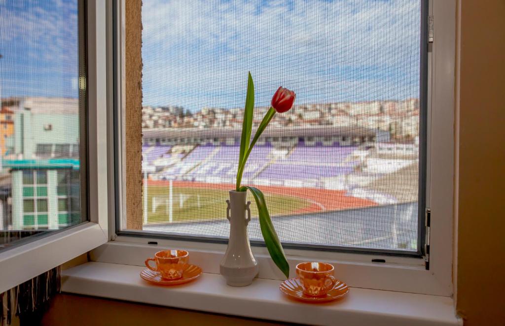 Stadium Apartments photo 2