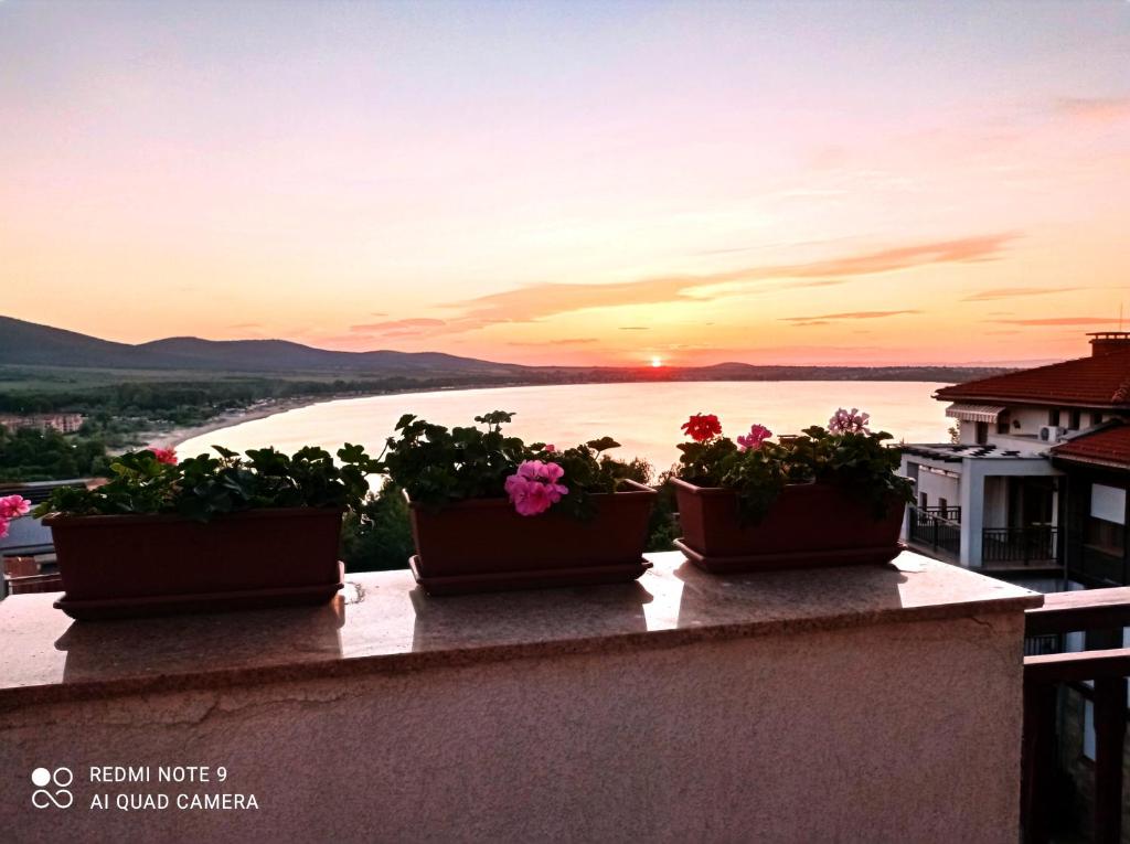 Sunrise - Apartment 41 — photo 1
