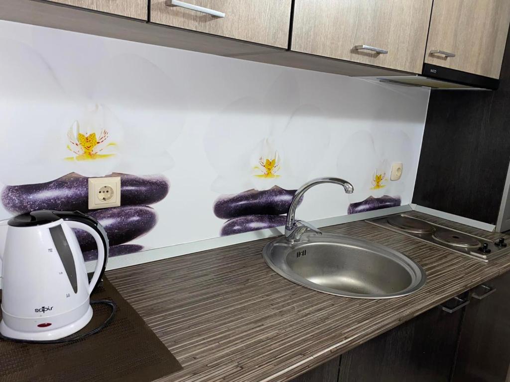 Cozy Apartment Saint Sofia photo 3