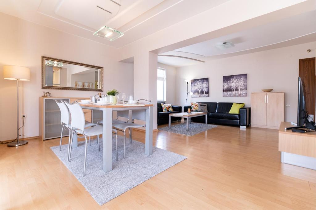Spacious apartment in the city center — photo 1