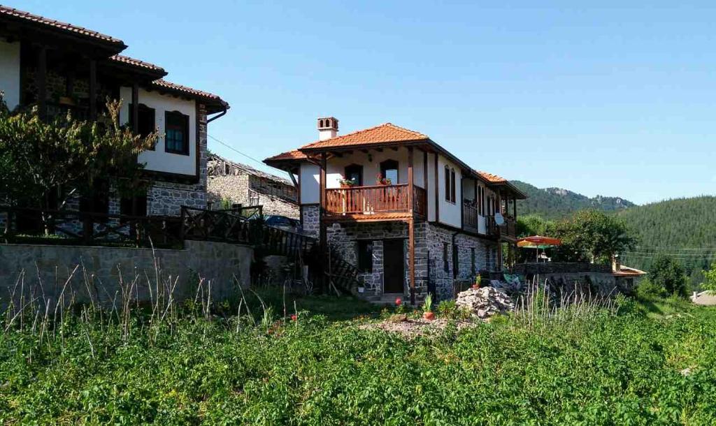 Semana Guesthouse photo 3