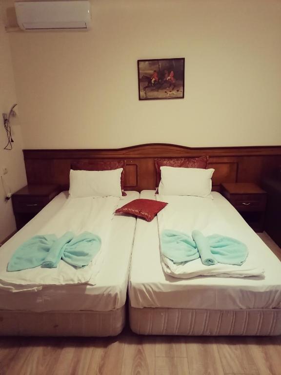 Guest House Nani photo 2