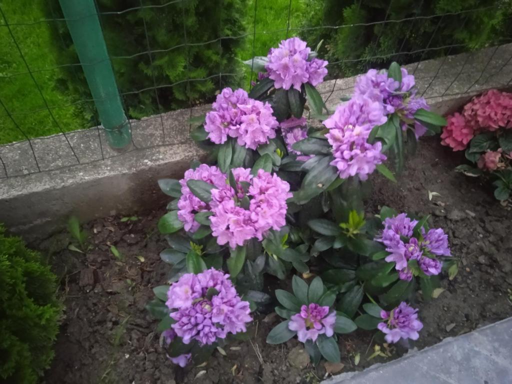 Семеен хотел При Вергил photo 3