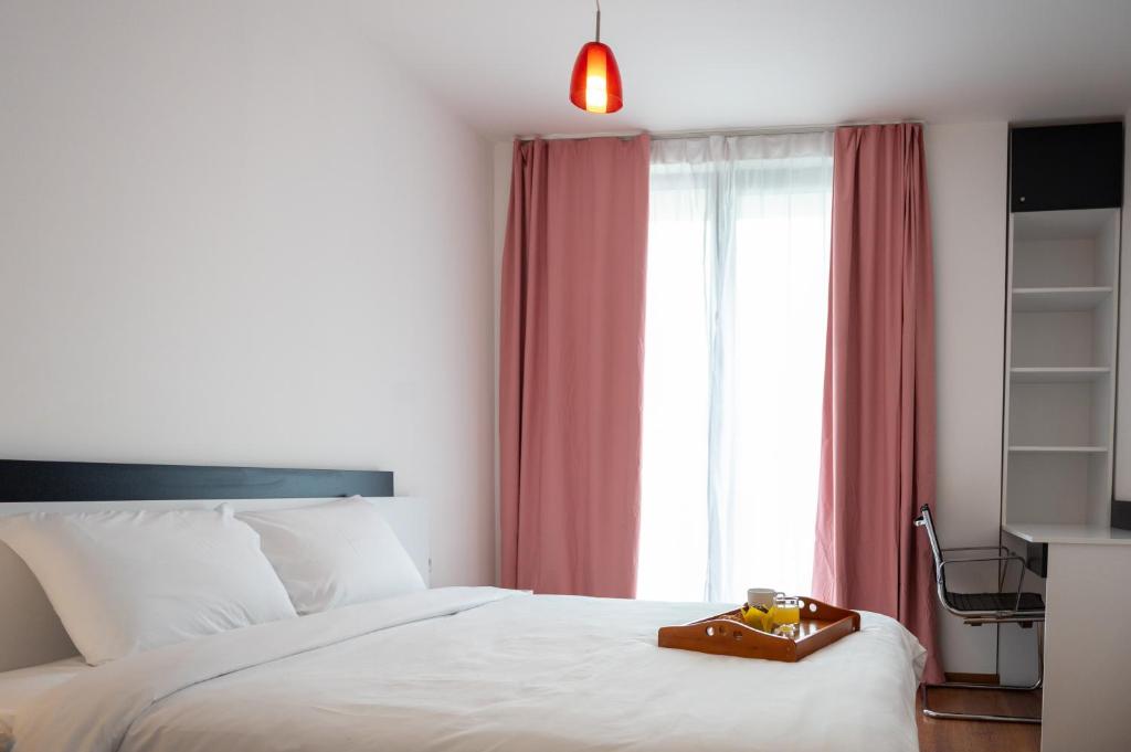 Sunny 1BDR Apartment near Center — photo 1