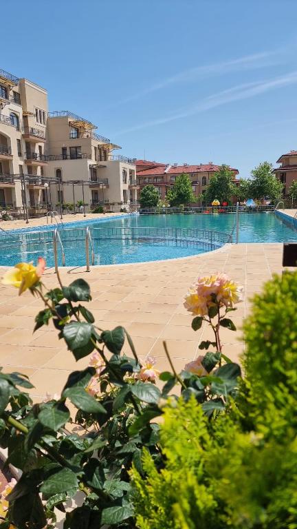 Sorrento Sole Mare V&D Luxury Style Apartment photo 3