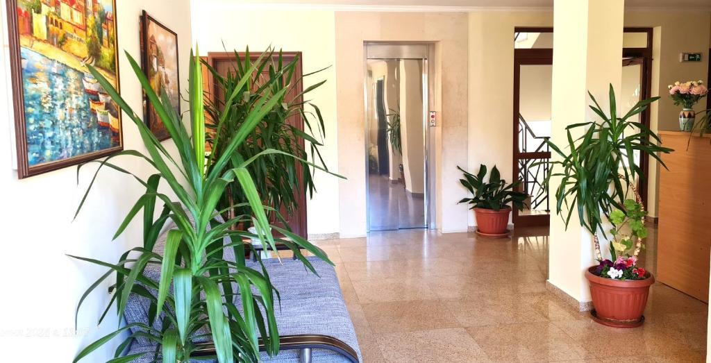 Summer Breeze Apartments photo 3
