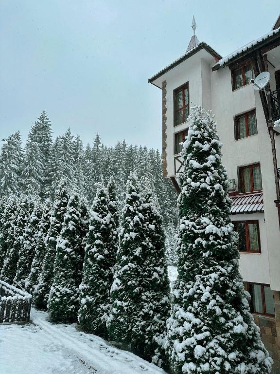 Castle Romance - Pamporovo photo 3