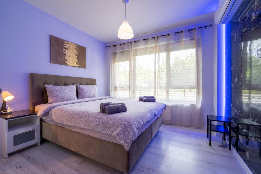Sunny Apartment in Studentski grad photo 2