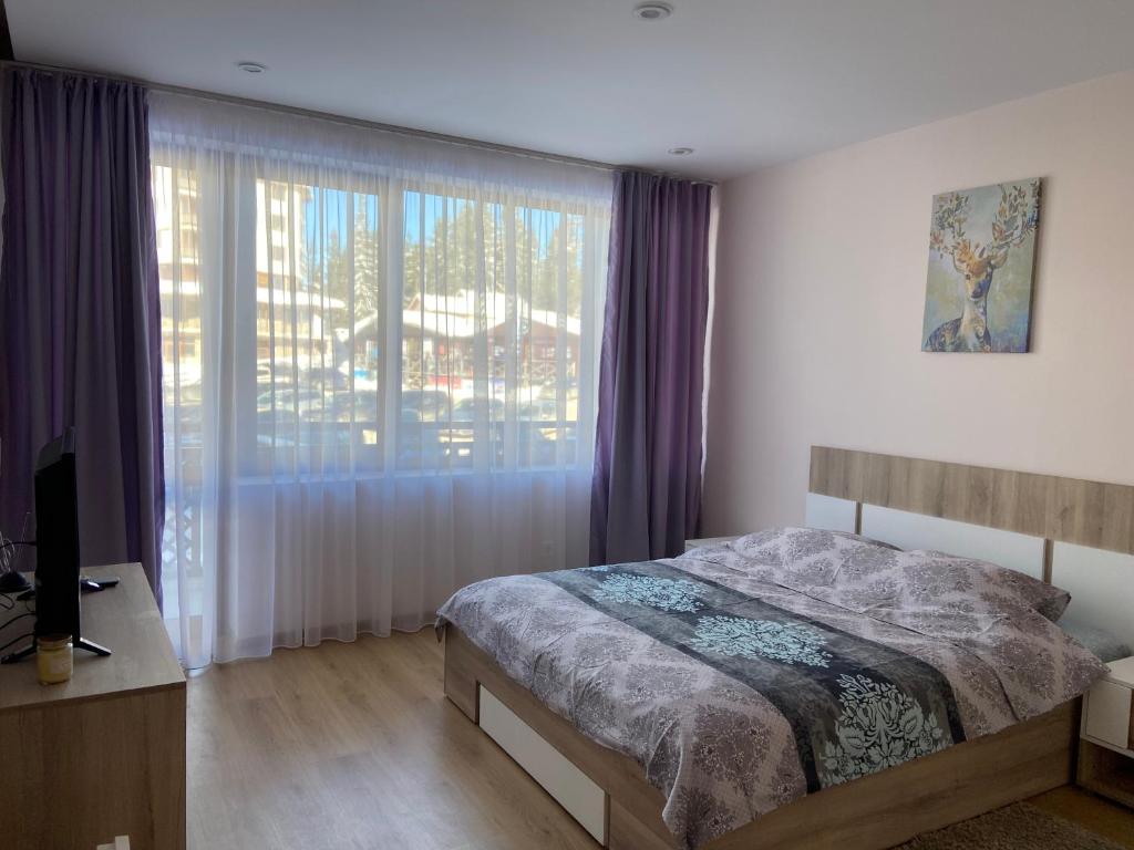 Apartment in Studenets photo 2