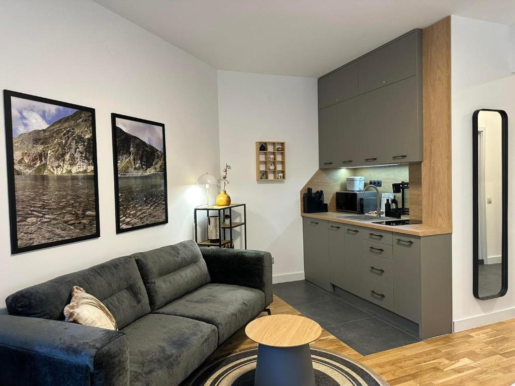 Sana Ski apartment 313A in Flora — photo 1