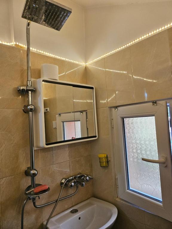 Стаи до реката photo 3