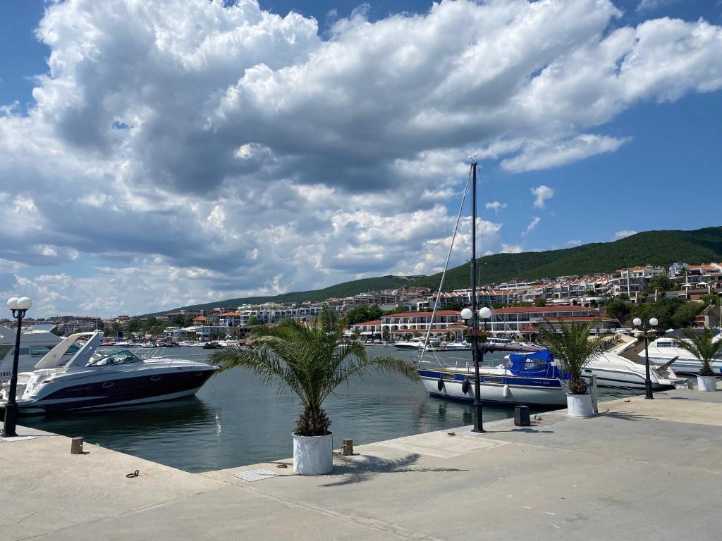 ROYAL PALM 84 Studio Sveti Vlas photo 2