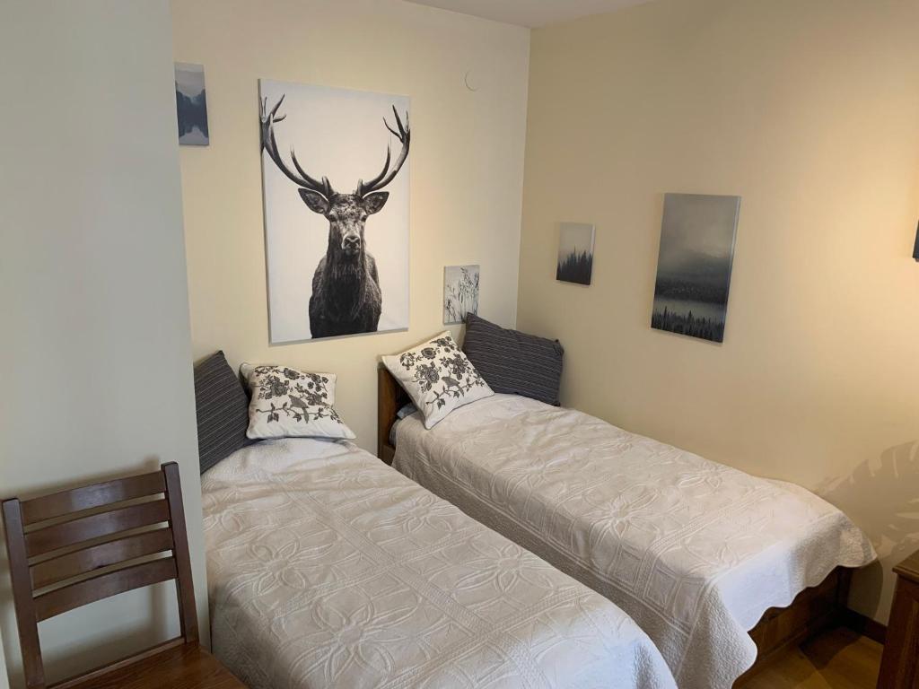 Studio 5 in Pirin Golf photo 2